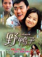 《野鸭子》共26集_2011大陆电视剧全集剧情文案