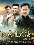 《向东是大海》共36集_大陆电视剧全集剧情文案