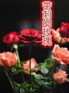 《带刺的玫瑰》共21集_大陆电视剧全集剧情文案