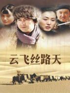 《云飞丝路天》共42集_内地电视剧全集剧情文案