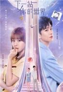 《下一站你的世界》共24集_其他电视剧全集剧情文案