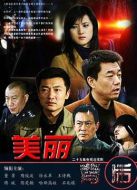 《美丽背后》共33集_2014大陆电视剧全集剧情文案