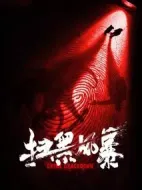 《扫黑风暴》共28集_其他电视剧全集剧情文案