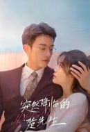 《突然降临的楚先生》共22集_其他电视剧全集剧情文案