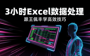 【Excel教程】3小时跟王佩丰学会excel数据处理