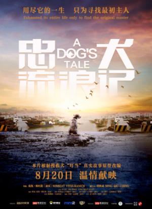 《忠犬流浪记》跨越千里的忠诚：搜救犬流浪寻主