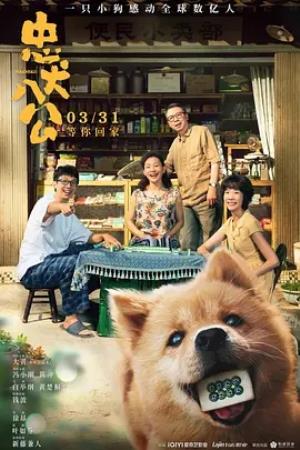 《忠犬八公》忠犬八公：余生只为等你，十年不离不弃