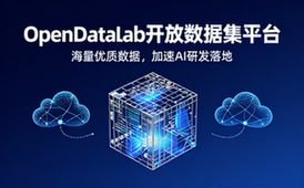 OpenDataLab开放数据集平台简介