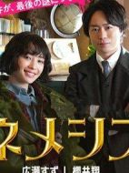 《涅墨西斯》共10集_其他电视剧全集剧情文案