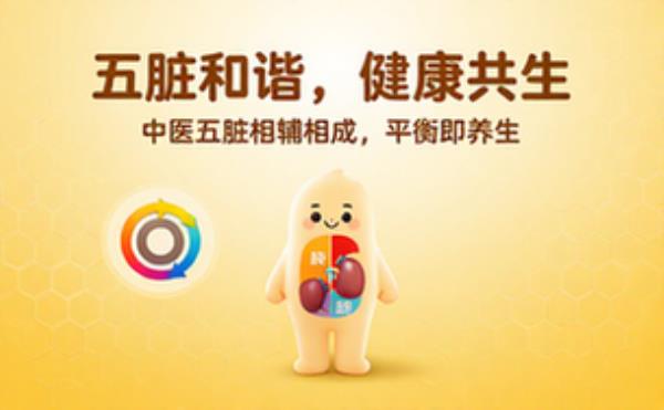 人体五脏概念图相互配合