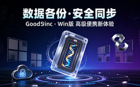 Windows版GoodSync高级便携版数据备份分享