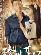 《珍珠耳环》共60集_2016大陆电视剧全集剧情文案