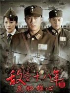 《虎胆雄心》共42集_2009内地电视剧全集剧情文案