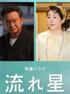 《流星》共16集_其他电视剧全集剧情文案