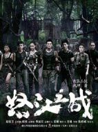 《怒江之战》共43集_大陆电视剧全集剧情文案