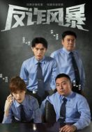 《反诈风暴》共24集_其他电视剧全集剧情文案