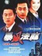 《暴风法庭》共23集_大陆电视剧全集剧情文案