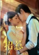 《招惹》共25集_其他电视剧全集剧情文案