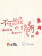 《不可思议的晴朗》共24集_2019大陆电视剧全集剧情文案