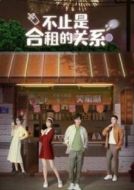 《不止是合租的关系》共45集_其他电视剧全集剧情文案