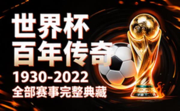⚽世界杯1930年至2022年比赛合集 电子书籍读物电子版资料大全