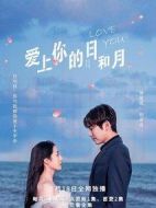 《爱上你的日和月》共12集_其他电视剧全集剧情文案