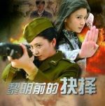 《黎明前的抉择》共36集_2013大陆电视剧全集剧情文案