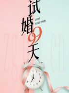 《试婚99天》共24集_其他电视剧全集剧情文案