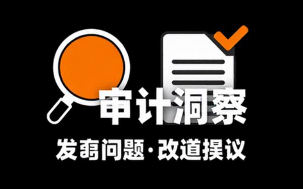 内部审计报告辅助发现问题与改进建议