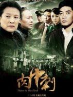 《独刺》共36集_2011大陆电视剧全集剧情文案