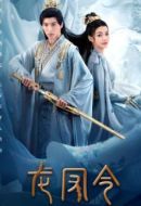 《龙凤令》共24集_其他电视剧全集剧情文案