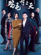 《鸡毛飞上天》共55集_2017大陆电视剧全集剧情文案