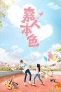 《嘉人本色》共24集_大陆电视剧全集剧情文案