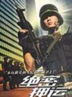 《绝密押运》共25集_大陆电视剧全集剧情文案