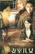 《妻室儿女》共37集_大陆电视剧全集剧情文案