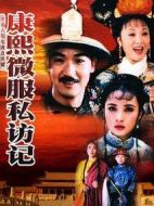 《康熙微服私访记1》共30集_大陆电视剧全集剧情文案