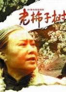 《老柿子树》共26集_内地电视剧全集剧情文案