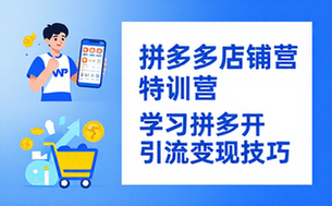 拼多多店铺运营特训营 学习拼多多开店引流变现技巧