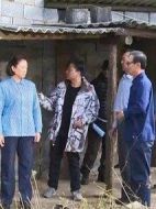 《正是青春璀璨时》共45集_2020大陆电视剧全集剧情文案