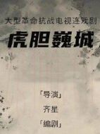 《虎胆巍城》共37集_大陆电视剧全集剧情文案