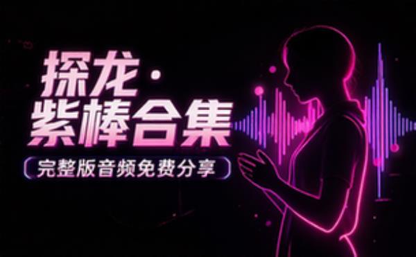 探龙 紫襟演播 音频素材资源 完整版合集免费分享
