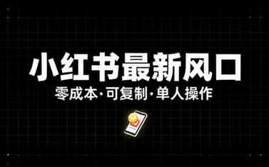小红书最新风口：零成本可复制单人操作赚钱方法教程