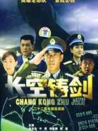 《长空铸剑》共22集_2004大陆电视剧全集剧情文案