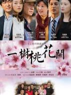 《一树桃花开》共42集_2017大陆电视剧全集剧情文案