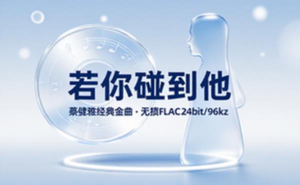 蔡健雅经典歌曲《若你碰到他》无损FLAC音频资源