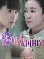 《婆媳的战国时代》共40集_大陆电视剧全集剧情文案