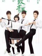 《致青春》共40集_2013大陆电视剧全集剧情文案