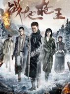 《战地枪王》共40集_2017大陆电视剧全集剧情文案
