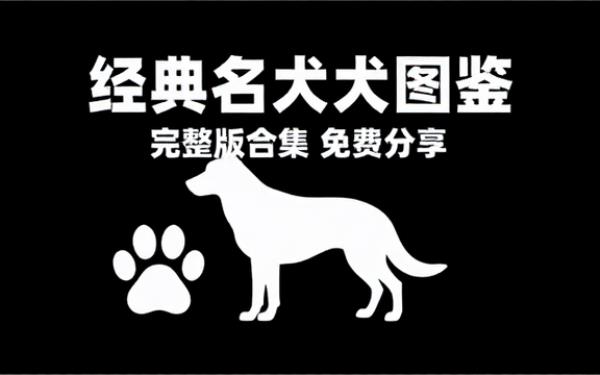 音频素材资源之经典名犬图鉴 完整版合集免费分享