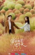 《治愈系恋人》共34集_其他电视剧全集剧情文案